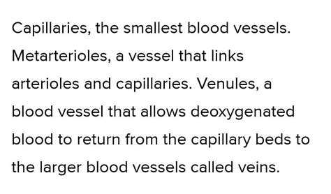 What are the smallest blood vessels in the human body? - Brainly.in