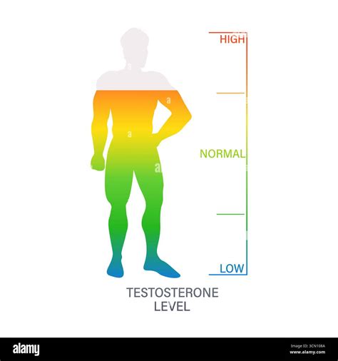 Testosterone hormone male health Stock Vector Images - Alamy