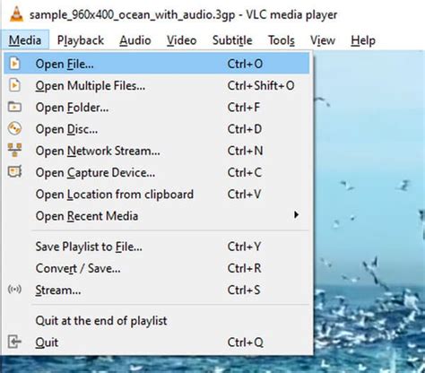 VLC Tutorial 的图像结果