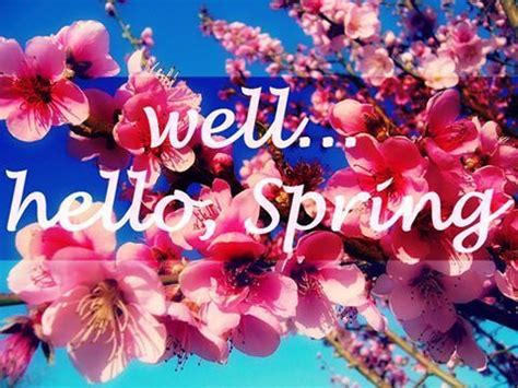 Image result for Well Hello Spring