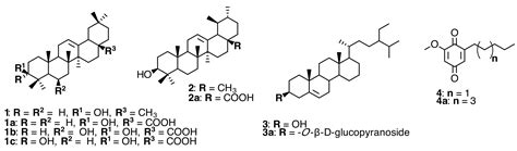 Phenolics and Polyphenolics from Melastomataceae Species
