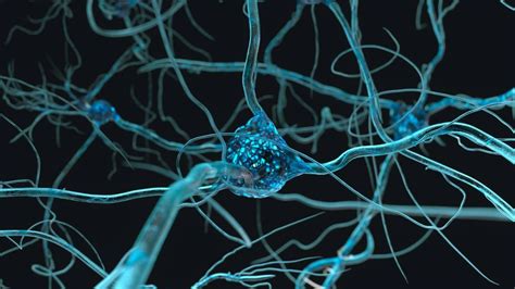 इंसान के ब्रेन सेल्स को चूहों के दिमाग में किया ट्रांसप्लांट, अब मानसिक ...