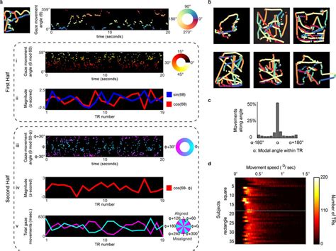 Multiple Object Tracking Task fMRI 的图像结果