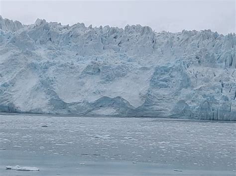 The 10 Best Hotel Deals in Yakutat (Mar 2025) - Tripadvisor