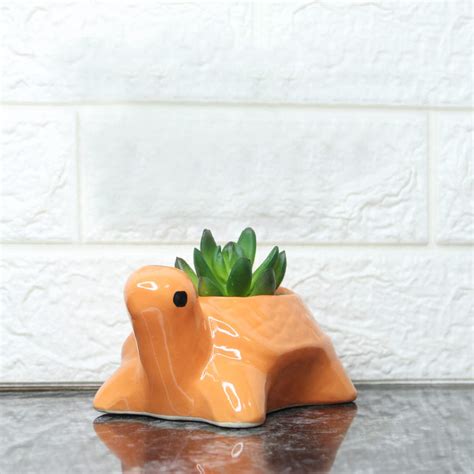 Ceramic Pots | Ceramic Planter Pots | Ceramic Pots Plants ...