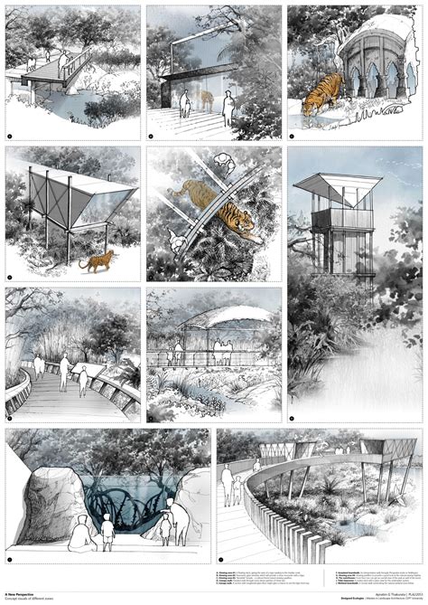 The Edge - Conservations at Sundarbans' Threshold | CEPT - Portfolio