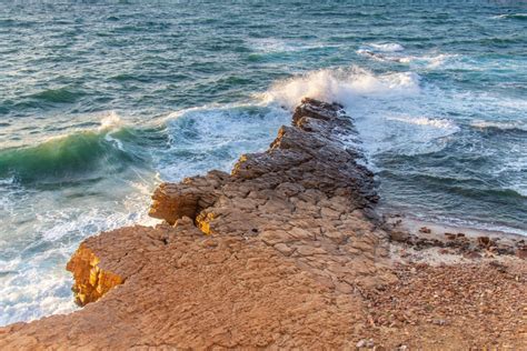 Coast 的图像结果
