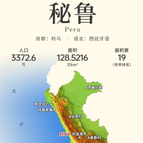 Image result for Fun Button Pattern