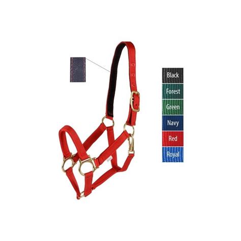 JACKS Jacks 3300-NV-4 Track Halter, Navy- Weanling at Lowes.com
