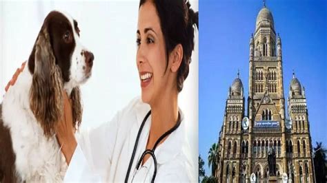stop rabies initiative in mumbai ppam and bmc to work together for ...