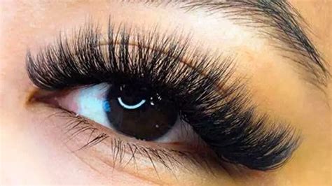 Image result for Eye Lashes Extension Types