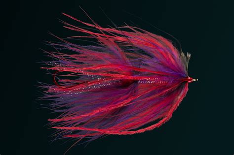 Behind The Fly - RIO's Morrish Trailer Trash