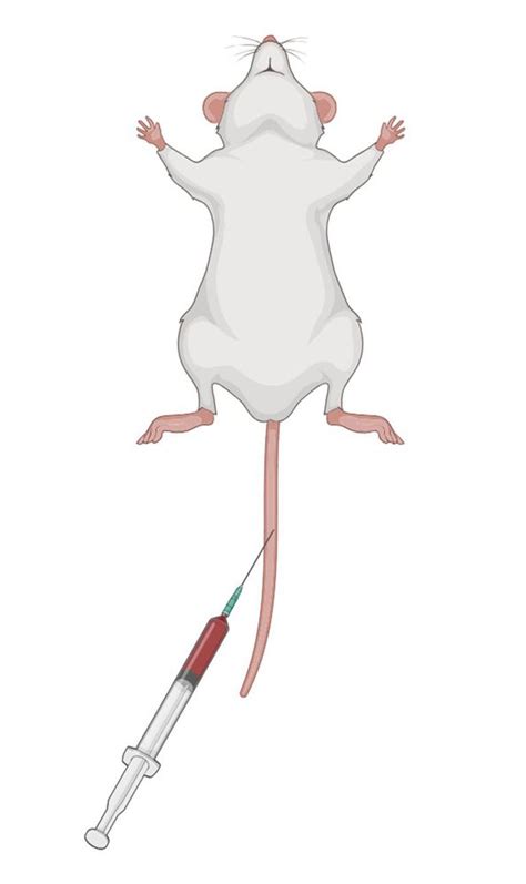 Image result for Animal Tissue Sample Collection Vials