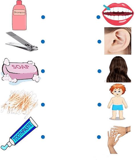 Worksheet Solutions: Bathroom - EVS for LKG PDF Download