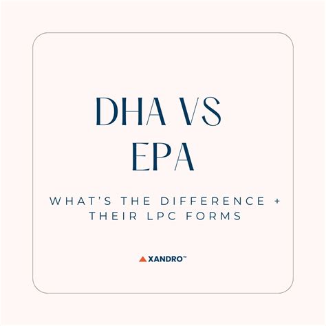 LPC DHA vs EPA: Benefits, Brain Health, Supplements and Sources - Xandro Lab
