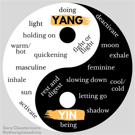 Examples Of Yin And Yang