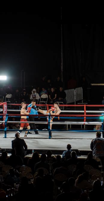 Boxing Concert 的图像结果