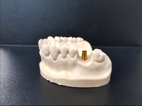 Simple Working Model 的图像结果