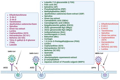 Pseudovirus-Based Systems for Screening Natural Antiviral Agents: A ...