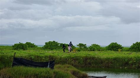 KUDHI BOLI BEACH HOUSE (Thulusdhoo Island) - B&B Reviews & Photos ...