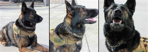 Detention Center - Sandoval County