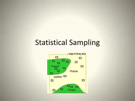 Statistical Sampling Basic 的图像结果