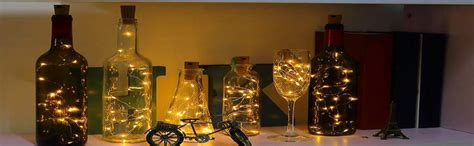 Desidiya Bottle Lights with Cork Mini Copper Wire LED String Lights