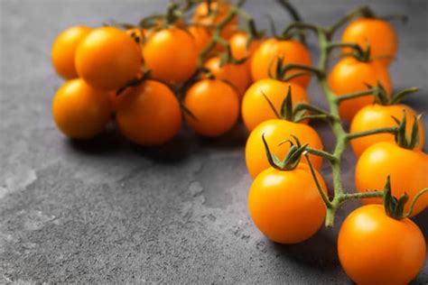 6 Types of Tomatoes You Can Grow in Summer – Easy Guide for Indian ...