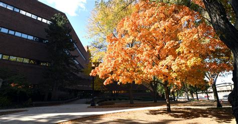 10/10/22 Fall Break Colors | Multimedia | purdueexponent.org