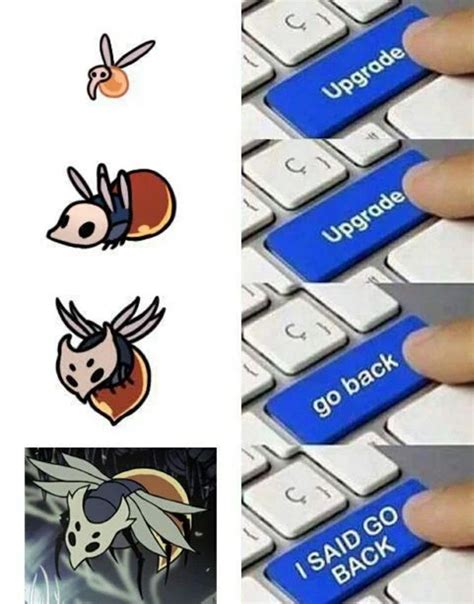 Hollow Knight Memes