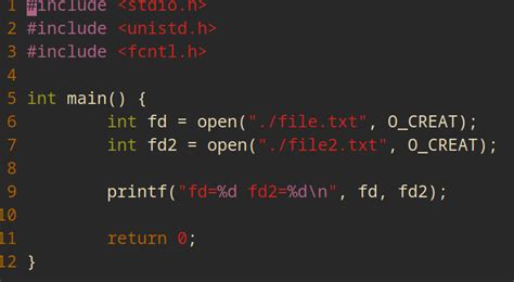 Image result for File Descriptor