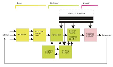 D'source Information processing | Human Cognitive Process and ...