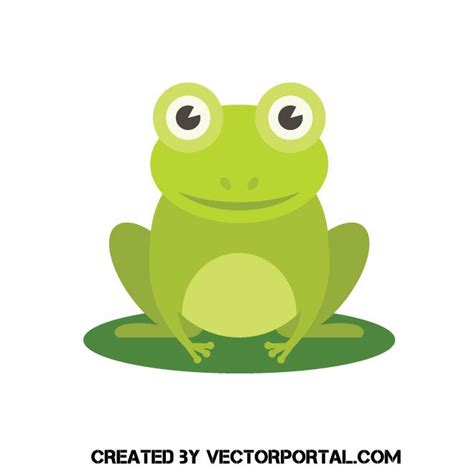 frog illustration vector