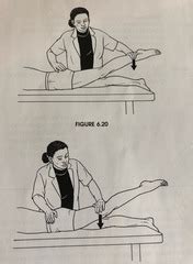 How to Muscle Test Lumbar Extensor Muscles 的图像结果