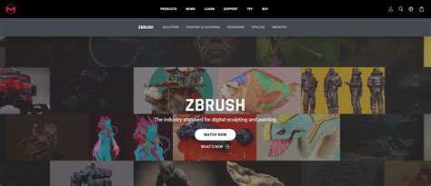 Image result for 3D Additive Texturing Software