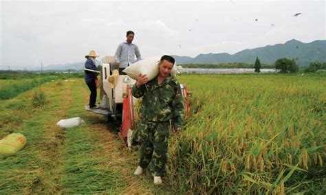 中国种粮现状报告——农民，如何种粮？（下）_央广网