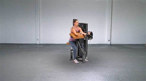 Image result for Bicep Curl Machine Muscle Focus