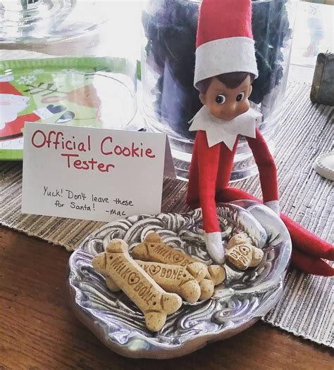 How To Introduce Your New Elf On The Shelf at Timothy Jeffords blog