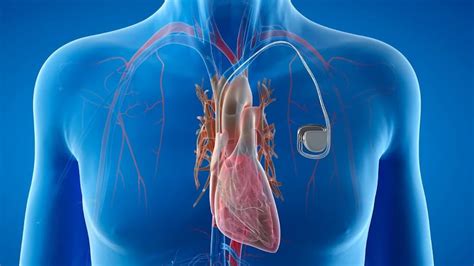 Asthma And COPD In Winter: শীতে বাড়ে হাঁপানি বা COPD, সহজ কয়েকটা ...