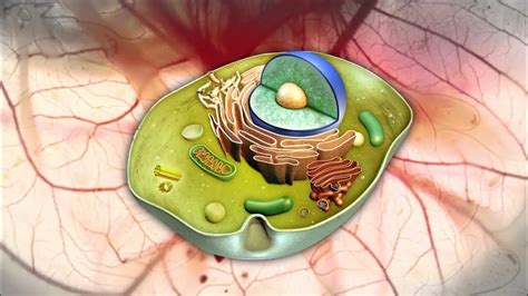 Image result for Blender Cell Animation Tutorial YouTube