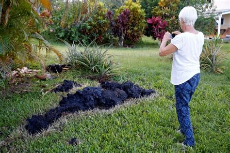 Huge fissures open on Hawaiian volcano - Photos,Images,Gallery - 88970