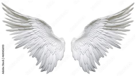 Angel wings isolated on white background , transparent png by ai ...