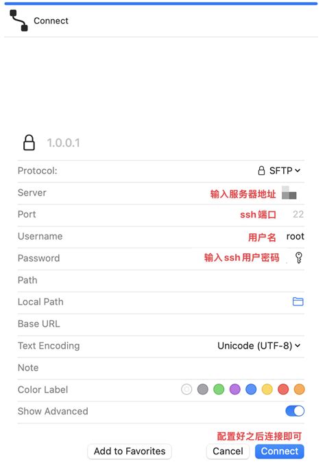 SFTP Connection 的图像结果