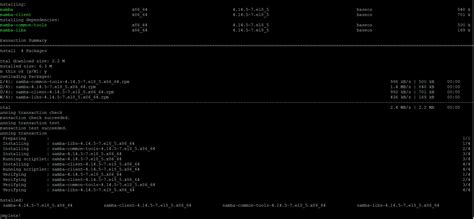 Samba File Server 的图像结果