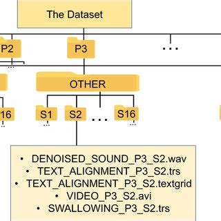 Dataset Example 的图像结果