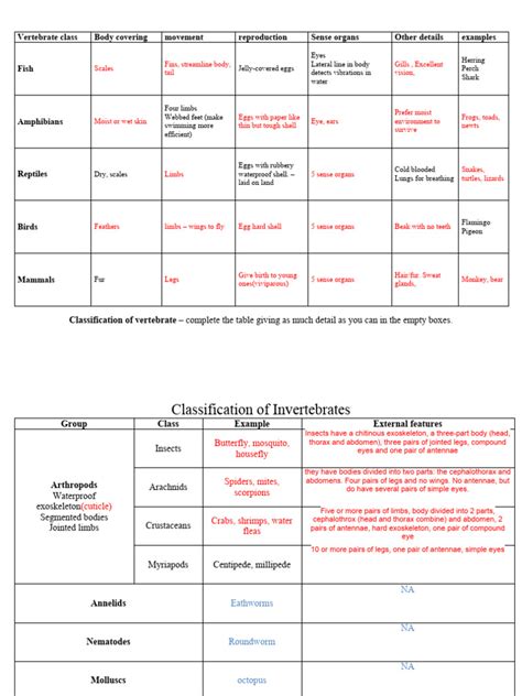 Image result for Classification Key Vertebrates KS2