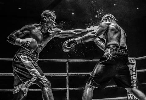 Boxing Black and White 的图像结果