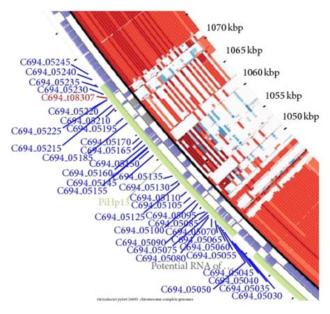 Image result for Pathogenicity Islands