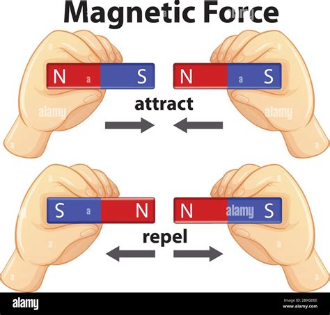 Divine Info About Why Do Magnets Repel Blog | Adams-Partners