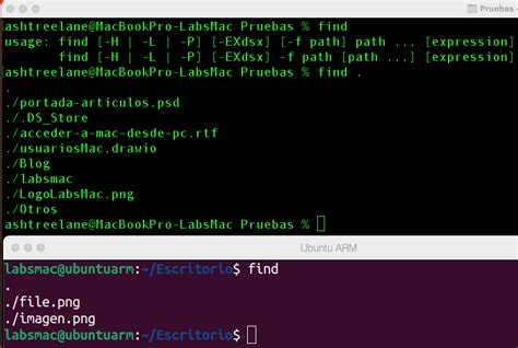 Comando Find En Linux 的图像结果